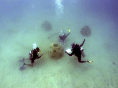 Des plongeurs du projet Reef2Reef inspectent une pépinière de corail à Portobelo, le 10 avril 2021 au Panama - Luis ACOSTA [AFP]