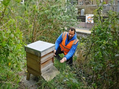 Agamemnon Otero, directeur du projet Energy Garden, s'occupe d'une ruche près de la station Brondesbury Park de l'Overground, le 24 mars 2021 à Londres - JUSTIN TALLIS [AFP]