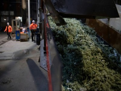 Plastiques broyés en flocons à l'usine Suez d'Orée-d'Anjou, le 26 mars 2021 - LOIC VENANCE [AFP/Archives]