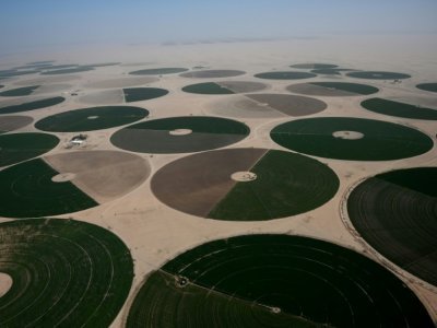 L'oasis verte de Wadi Al-Dawasir en janvier 2020, en Arabie saoudite - FRANCK FIFE [AFP/Archives]