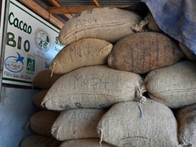 Des sacs de fèves de cacao dans un entrepôt de la SCEB à M'brimbo, le 19 avril 2021 - Issouf SANOGO [AFP]