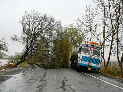 Un arbre en travers d'une route après le passage du cyclone Tauktae près de Diu, le 18 mai 2021 en Inde - Punit PARANJPE [AFP]