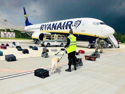 Un chien renifleur inspecte les bagages d'un avion de passagers de Ryanair garé sur l'aéroport de Minsk après avoir été détourné par un l'aviation bélarusse, le 23 mai 2021 - - [ONLINER.BY/AFP]