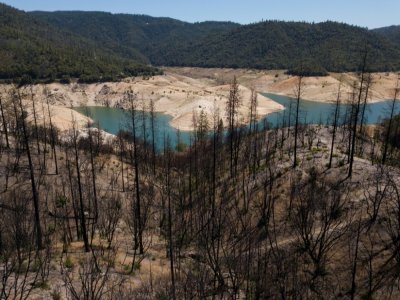 Les arbres calcinés qui se dressent le 25 mai 2021 sur les hauteurs du lac d'Oroville, dans le nord de la Californie, sont là pour rappeler les risques accrus d'incendie liés à la sécheresse - Patrick T. FALLON [AFP]