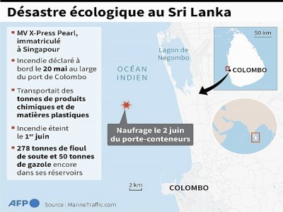Désastre écologique au Sri Lanka - [AFP]