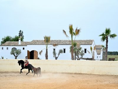 La torera française à cheval Léa Vicens, lors d'un entraînement dans sa finca près d'Hinojos, au sud de Séville, le 14 avril 2021 en Espagne - Gabriel BOUYS [AFP]
