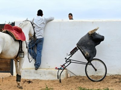 La torera française à cheval Léa Vicens, lors d'un entraînement dans sa finca près d'Hinojos, au sud de Séville, le 14 avril 2021 en Espagne - Gabriel BOUYS [AFP]