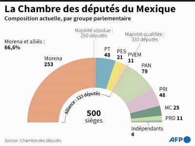 La Chambre des députés du Mexique - Nicolas RAMALLO [AFP]