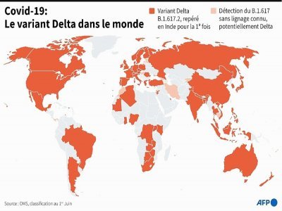 Le variant Delta dans le monde - Erin CONROY [AFP]