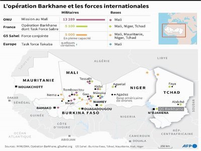 Sahel : l'opération Barkhane et les forces internationales - [AFP]