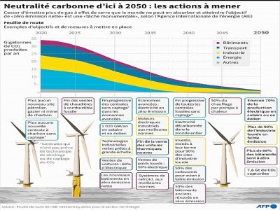 Neutralité carbone d'ici à 2050 - John SAEKI [AFP]