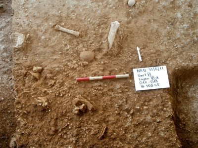 Photo diffusée le 24 juin 2021 par le département d'archéologie de l'Université hébraïque de Jérusalem et l'Université de Tel-Aviv, des fouilles archéologiques près de Ramla où ont été découverts des restes humains préhistoriques qui n'ont pu être at - - [Université de Tel-Aviv/AFP]