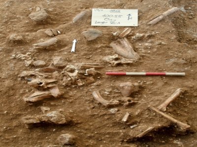 Photo diffusée le 24 juin 2021 par le département d'archéologie de l'Université hébraïque de Jérusalem et l'Université de Tel-Aviv, des fouilles archéologiques près de Ramla où ont été découverts des restes humains préhistoriques qui n'ont pu être at - - [TEL AVIV UNIVERSITY/AFP]