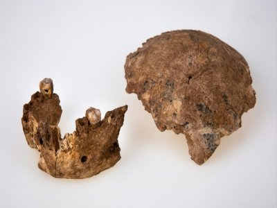 Photo diffusée le 24 juin 2021 par le département d'archéologie de l'Université hébraïque de Jérusalem et l'Université de Tel-Aviv, des fouilles archéologiques près de Ramla des fossiles de crâne et la mâchoire d'une nouvelle espère d'homme préhistor - - [TEL AVIV UNIVERSITY/AFP]