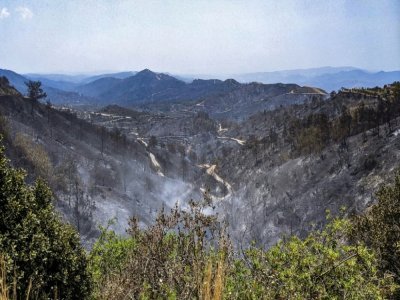 Les collines  boisées près de Larnaca en partie ravagées par un violent incendie, le 4 juillet 2021 - Etienne TORBEY [AFP]