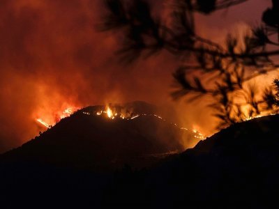 Un violent incendie ravage les collines proches de Larnaca, le 3 juillet 2021 - Iakovos Hatzistavrou [AFP]