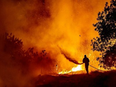 Un pompier lutte contre les flamme dans un forêt des Troodos à Chypre, le 4 juillet 2021 - Georgios Lefkou Papapetrou [AFP]