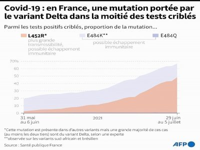Covid-19 : la mutation L452R en France - [AFP]