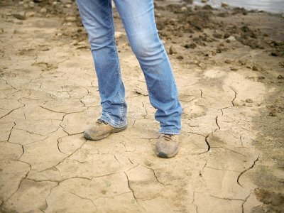 "La terre est à sec", explique Janie VanWinkle dans son ranch du Coloradao, le 30 juin 2021 - Patrick T. FALLON [AFP]