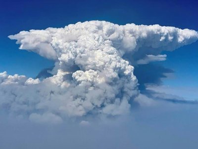 Un nuage de fumée provoqué par le Bootleg fire, le 14 juillet 2021 - Handout [US Forest Service/AFP]