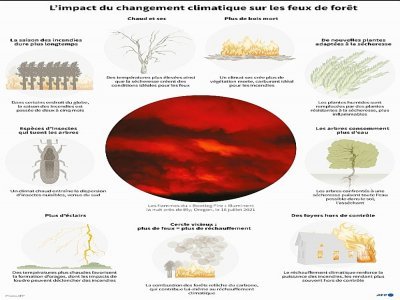 L'impact du changement climatique sur les feux de forêt - [AFP]