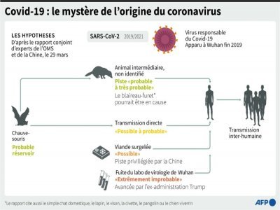 Covid-19 : le mystère de l'origine du coronavirus - Alain BOMMENEL [AFP/Archives]