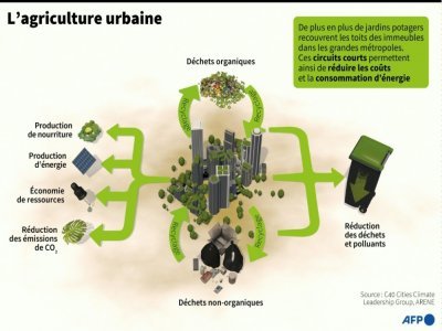 L'agriculture urbaine - [AFP]