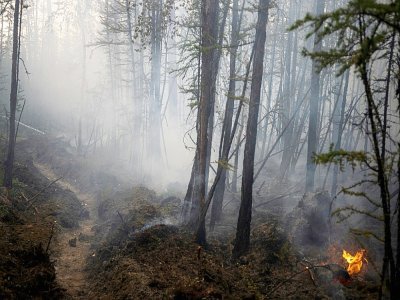 Un feu de forêt près deu village de Bias-Kiouïol (Russie) le 26 juillet 2021 - Dimitar DILKOFF [AFP]