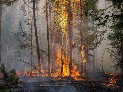 Un feu de forêt près deu village de Bias-Kiouïol (Russie) le 26 juillet 2021 - Dimitar DILKOFF [AFP]