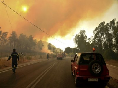 Des pompiers tentent de maîtriser un vaste incendie à Labiri (Grèce), le 31 juillet 2021 - STR [Eurokinissi/AFP]