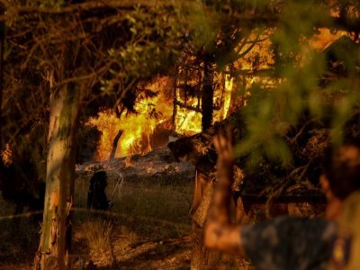 Des pompiers interviennent sur un feu de forêt à Labiri, en Grèce, le 31 juillet 2021 - STR [Eurokinissi/AFP]