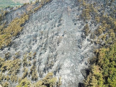 Une vue aérienne prise le 3 août d'une zone ravagée par les incendies dans la région de Marmaris en Turquie - Yasin AKGUL [AFP]