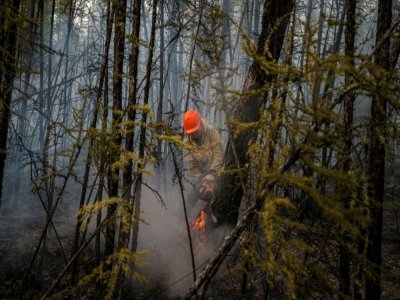Un membre du Service aérien de protection des forêts coupe un arbre pour protéger la forêt des incendies à la lisière du village de Byas-Kyuel, le 26 juillet 2021 - Dimitar DILKOFF [AFP]