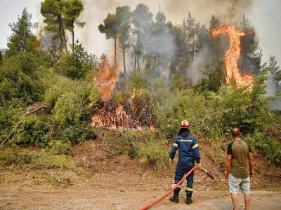 Des pompiers luttent contre les incendies qui menacent un village au nord de l'île d'Eubée, le 5 août 2021 - LOUISA GOULIAMAKI [AFP]