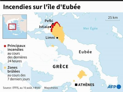 Incendies sur l'île grecque d'Eubée - Thorsten EBERDING [AFP]