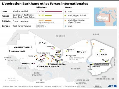Sahel : l'opération Barkhane et les forces internationales - [AFP/Archives]