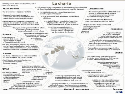 Sélection de pays où est ou a été appliquée la charia, loi islamique variant selon les pays - Gal ROMA [AFP]