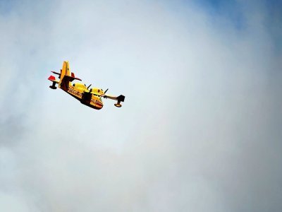 Un Canadair au Luc, dans le Var, le 19 août 2021 - Sylvain THOMAS [AFP]