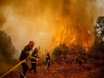 Des pompiers serbes luttent contre un feu de forêt sur l'île d'Eubée, le 9 août 2021 en Grèce - ANGELOS TZORTZINIS [AFP]
