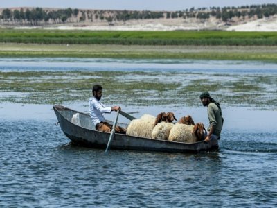 Deux hommes et des moutons en barque en amont du lac Assad, le long du fleuve Euphrate, le 25 juillet 2021 à Roumeila - Delil SOULEIMAN [AFP]