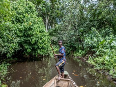 Un homme en pirogue dans la forêt de Hlanzoun, le 9 juillet 2021 au Bénin - Yanick Folly [AFP]
