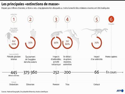 Les principales "extinctions de masse" - Alain BOMMENEL [AFP]