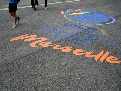 A l'entrée du Palais des événements de Marseille, où s'ouvre le congrès mondial de l'UICN, le 2 septembre 2021 - Nicolas TUCAT [AFP]