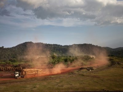 Exploitation forestière certifiée, le 24 avril 2019, dans le parc naturel d'Ivondo, au Gabon - Amaury HAUCHARD [AFP/Archives]