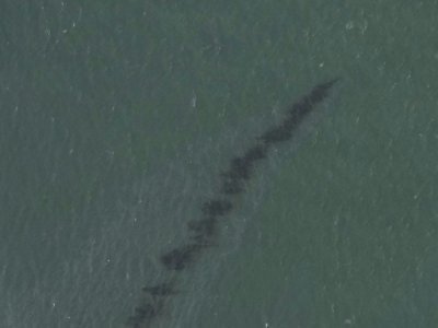 Vue aérienne d'une traînée d'hydrocarbures dans le golfe du Mexique, le 1er septembre 2021 - Handout [NOAA/GOES/AFP/Archives]