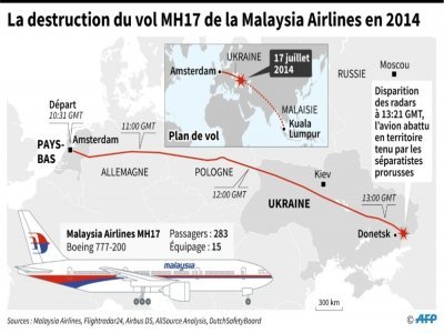 La destruction du vol MH17 en 2014 - Sophie RAMIS [AFP]