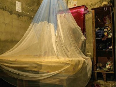 Une femme se repose sous une moustiquaire à Barcelona (Venezuela), le 16 mars 2021 - Pedro Rances Mattey [AFP]