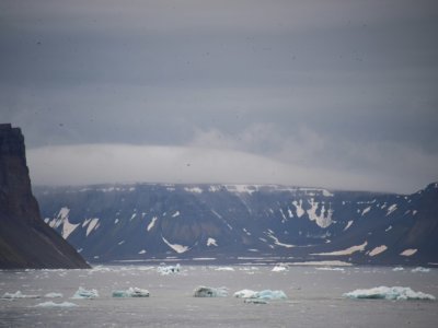 L'archipel François-Joseph, dans l'Arctique, le 16 août 2021 - Ekaterina ANISIMOVA [AFP/Archives]