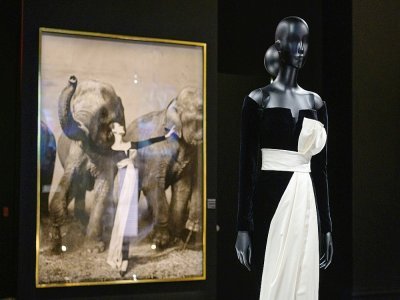 Une photographie de l'artiste américain Richard Avedon, devant une création Dior, le 7 septembre 2021 au Brooklyn Museum de New York - Angela Weiss [AFP]