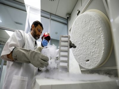 Le docteur Nisar Wani, directeur scientifique du Centre de reproduction biotechnologique, examine des échantillons congelés, le 4 juin 2021 à Dubaï - Karim SAHIB [AFP]